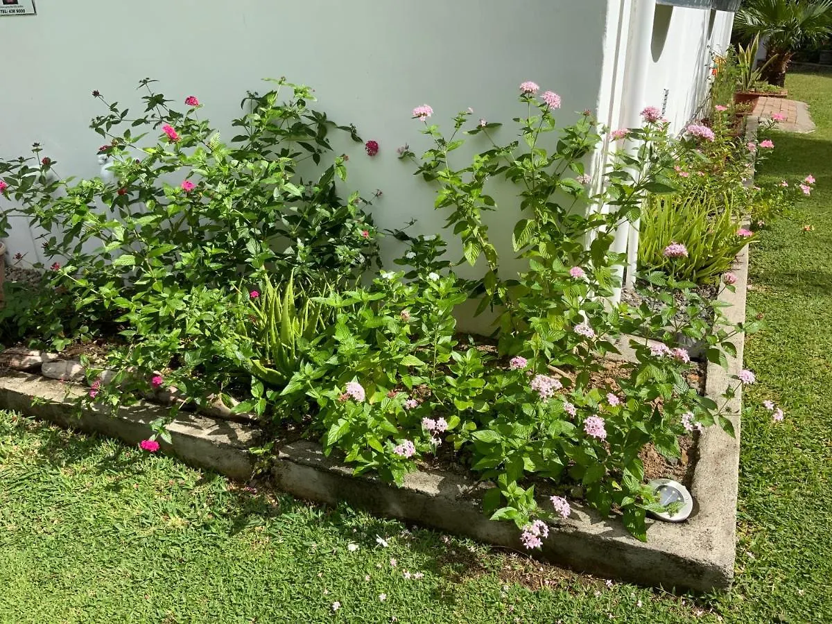 The Orchard Holiday Home Grand Anse  Bed and Breakfast