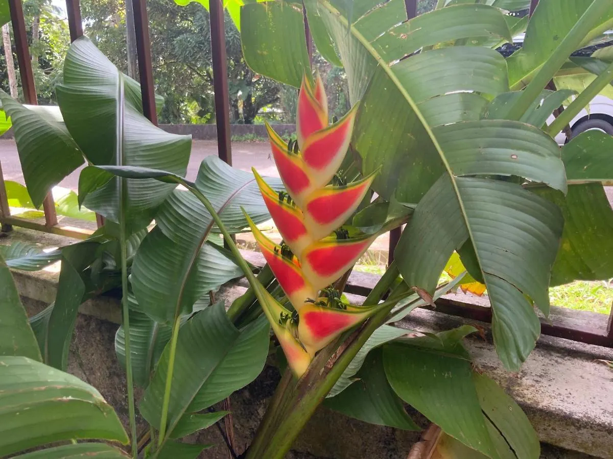 The Orchard Holiday Home Grand Anse