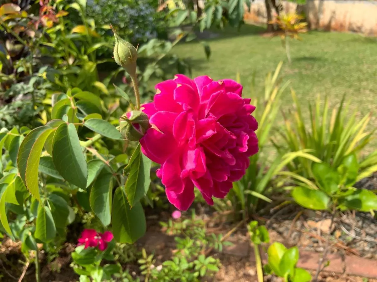 The Orchard Holiday Home Grand Anse